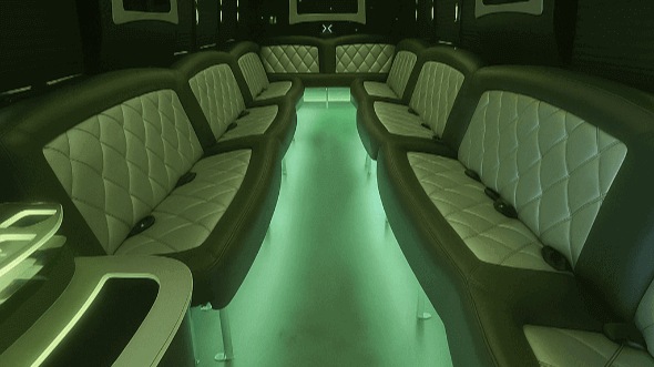 Santa Ana 20 passenger party bus interior